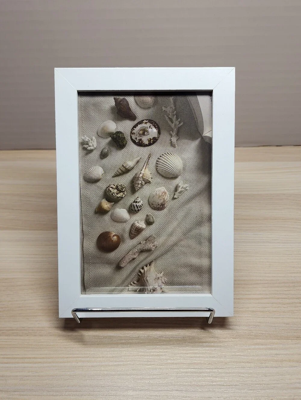 White Coastal Shell Framed Art